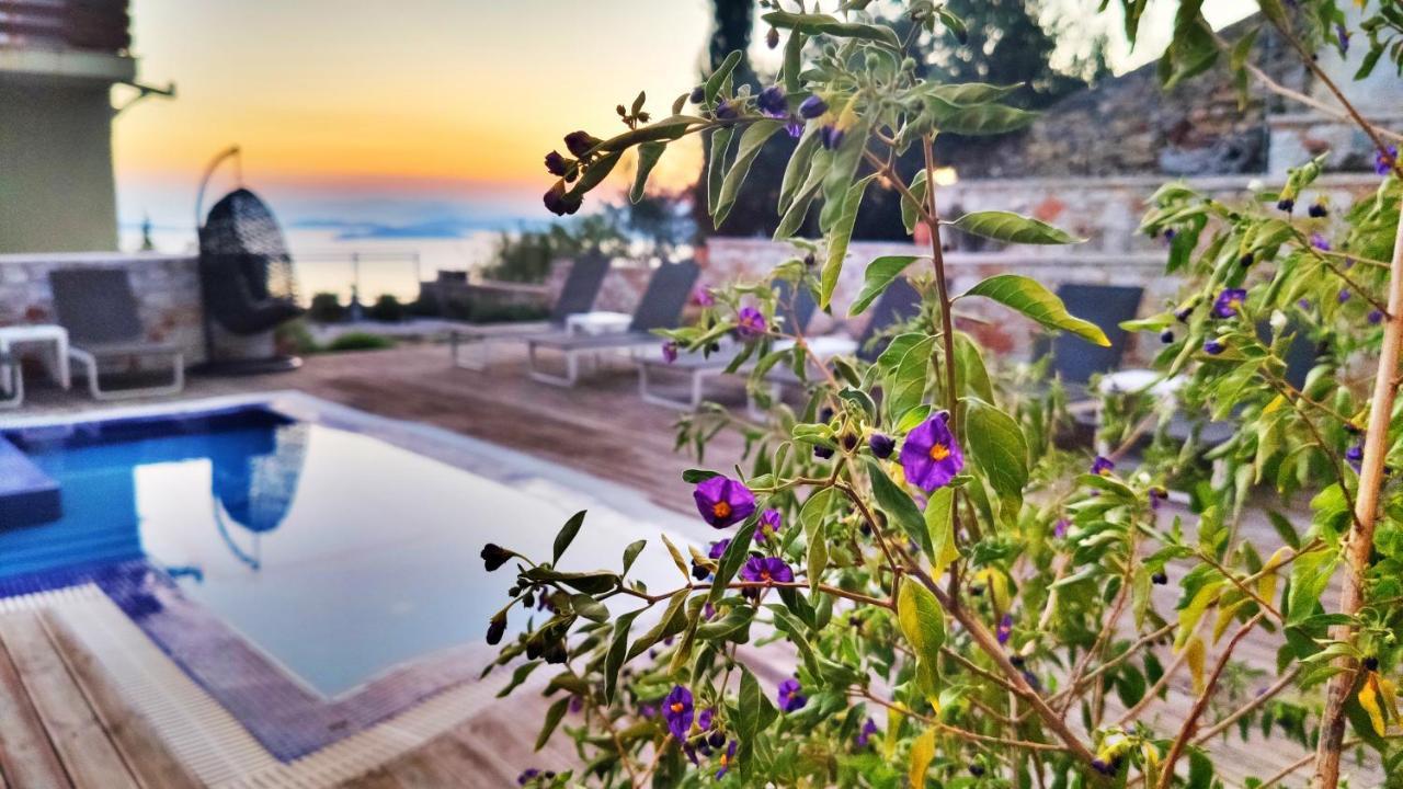 Axion Esti Apartments Skopelos Town Bagian luar foto